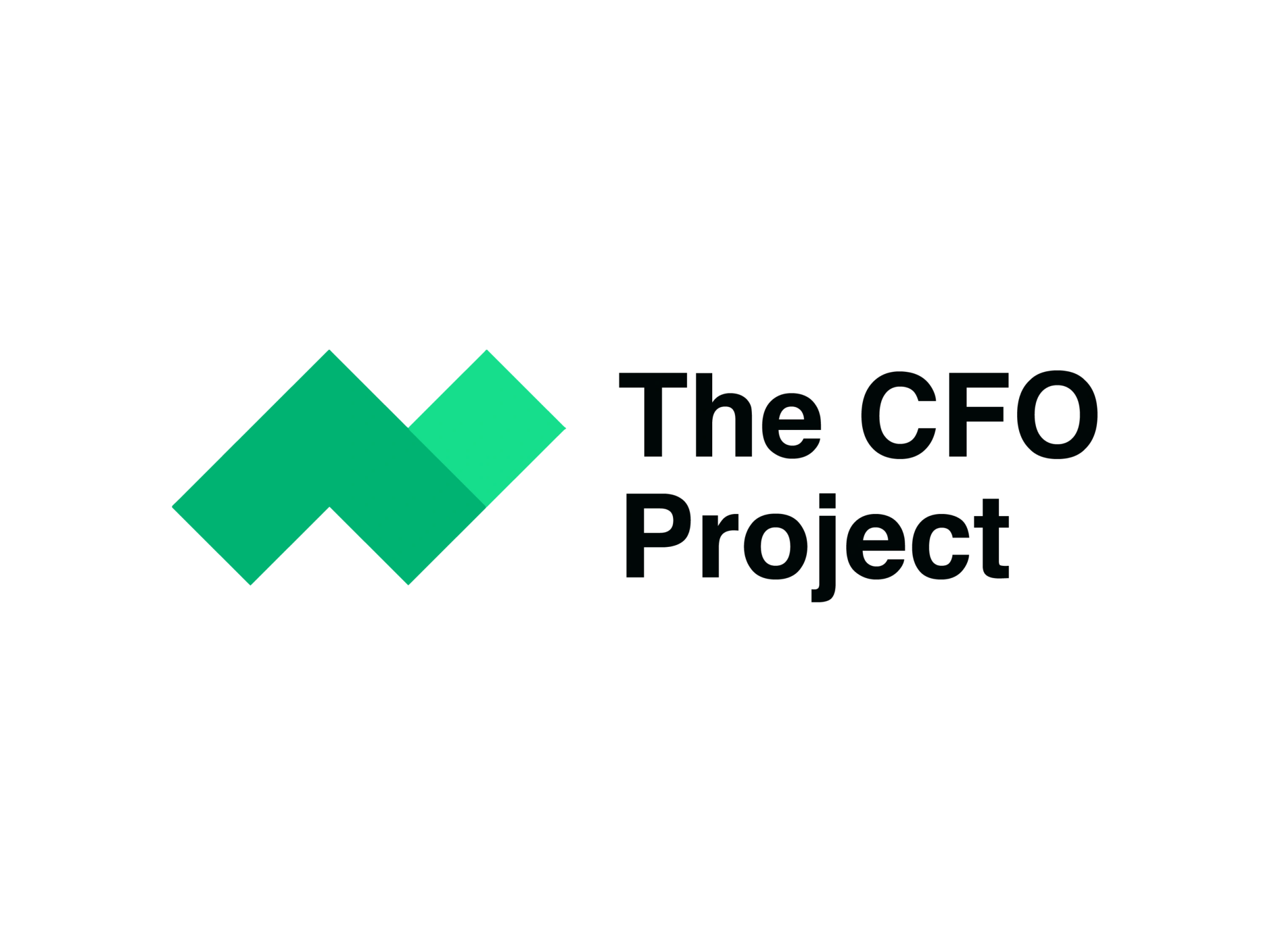 CFO Project Logo