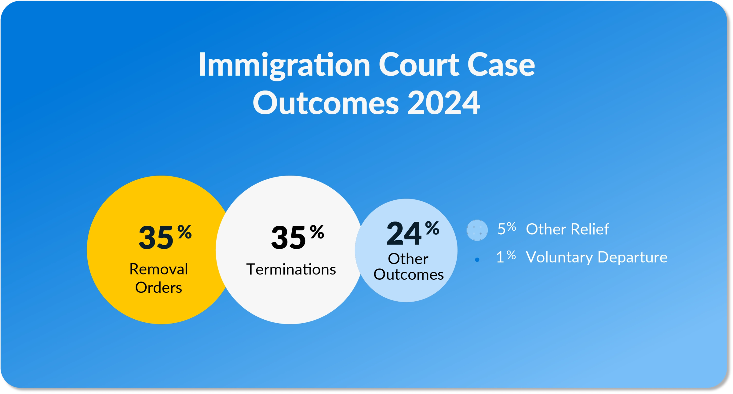 Immigration Court Case Outcomes 2024
