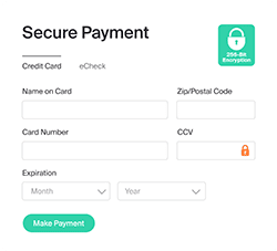 Ensure that your firm is paid on time by providing clients multiple ways to pay, including eCheck, credit card and more.