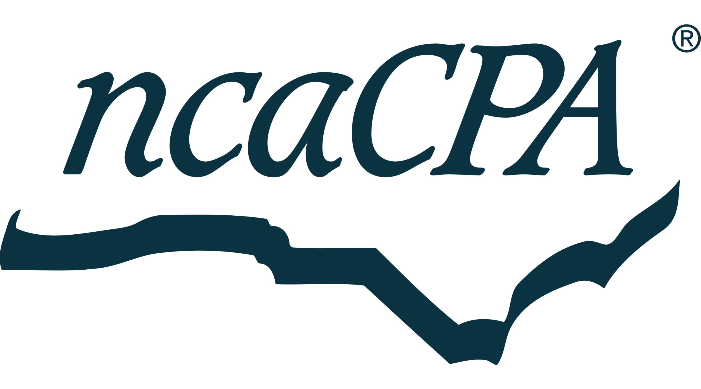 NCACPA - North Carolina Association of CPAs logo