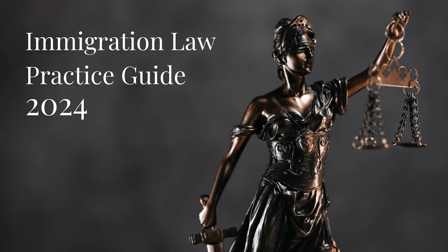 Immigration Law Practice Guide 2024