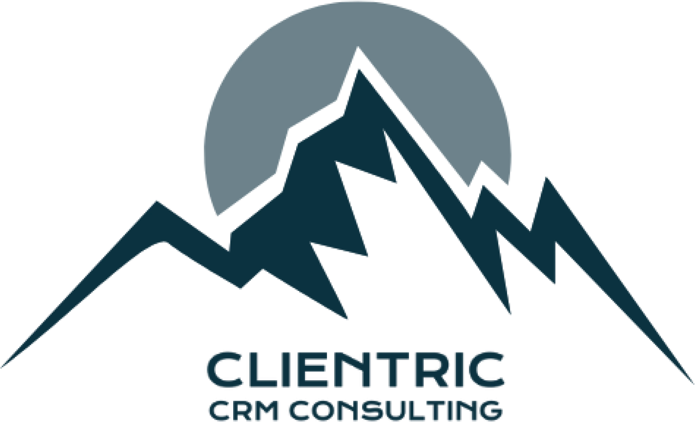 Clientric Logo