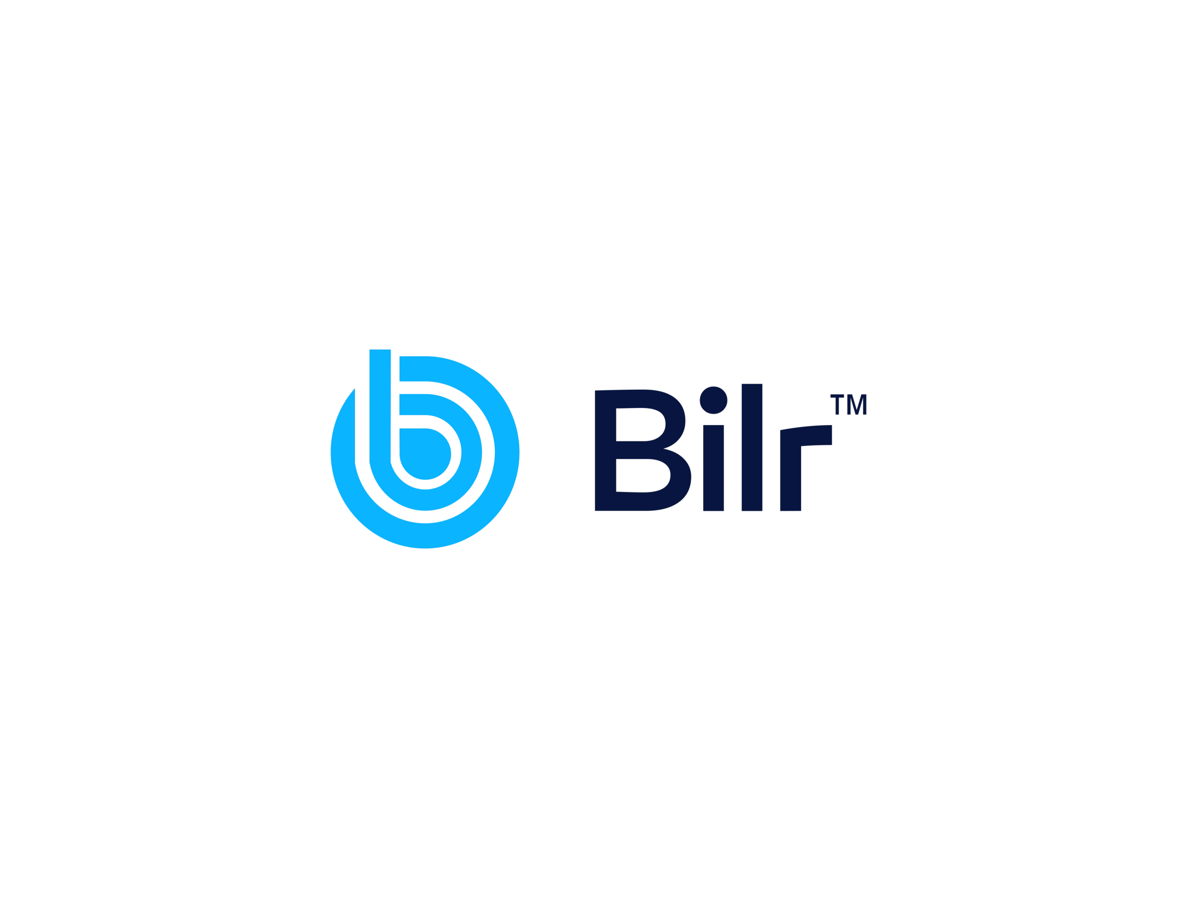 Bilr