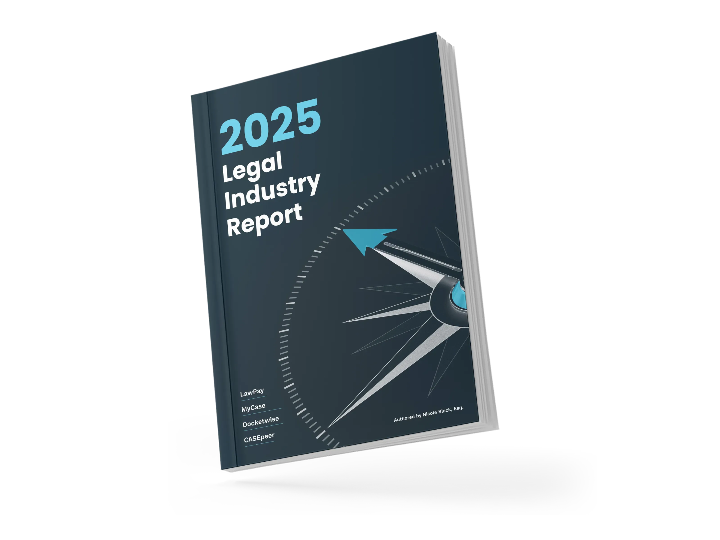 2025 Legal Industry Report