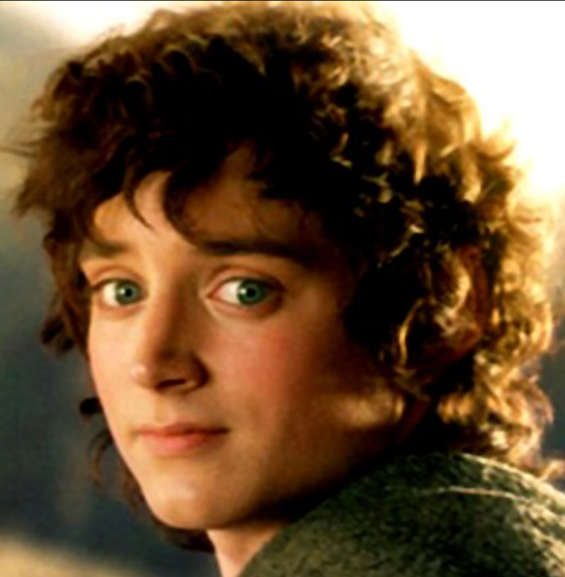 Frodo Baggins