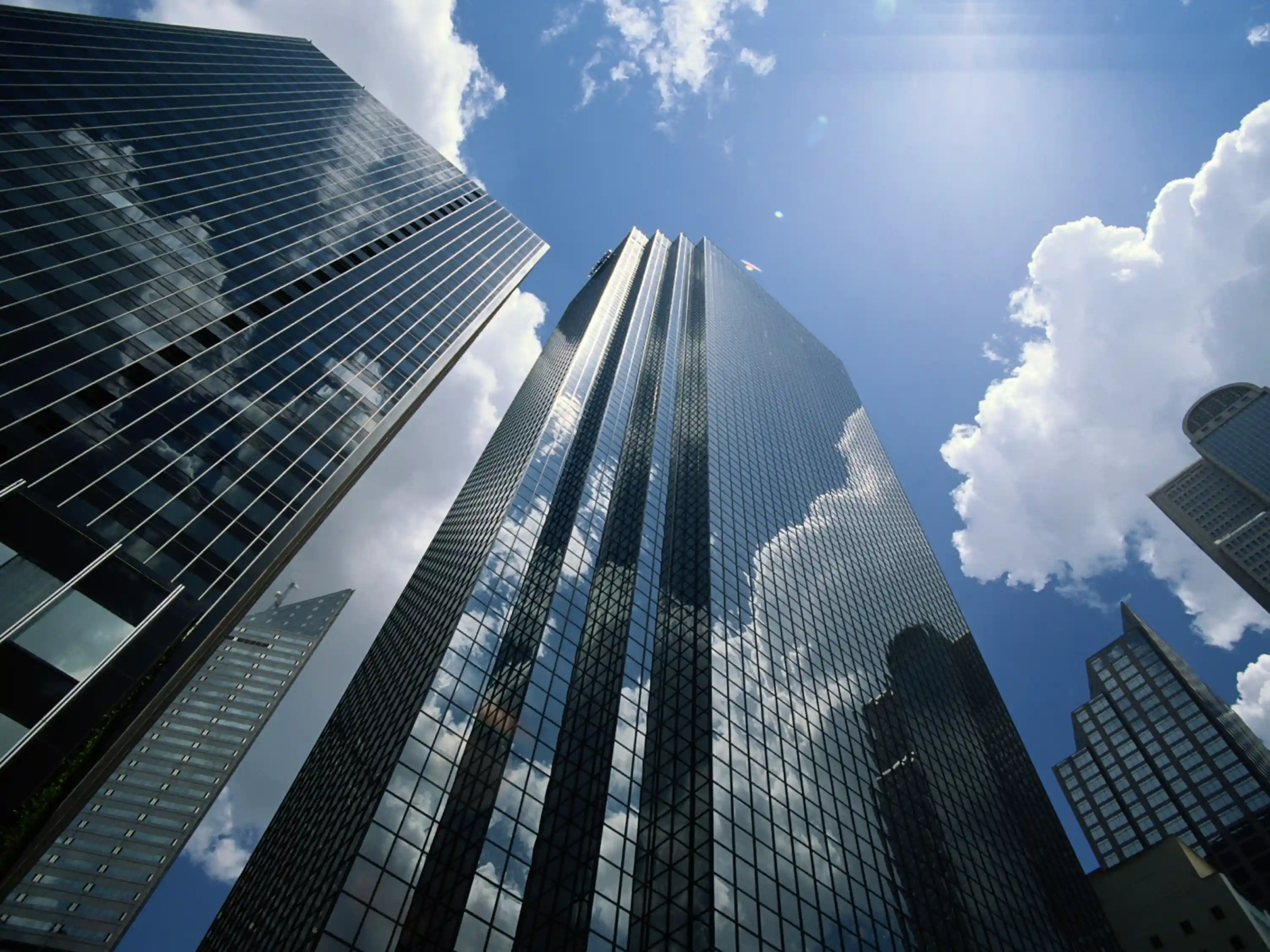 This month, we’re thrilled to feature Cantor Forensic Accounting, PLLC, a family law CPA firm in Chandler, Arizona. 