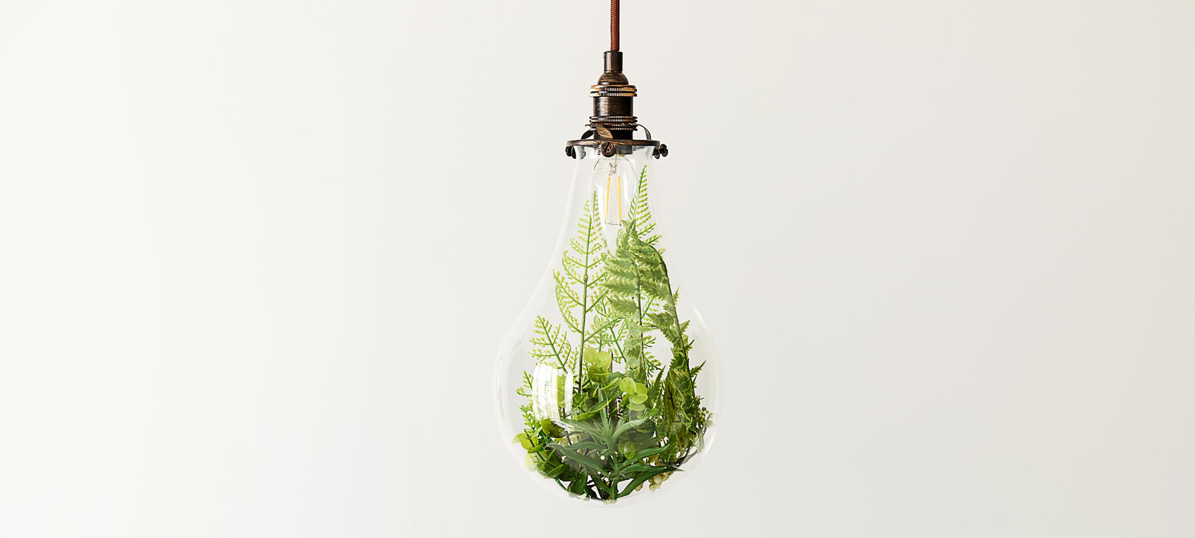 plant_bulb