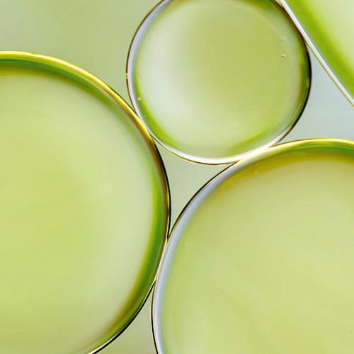 SEI-diverse-perspectives-green-circles