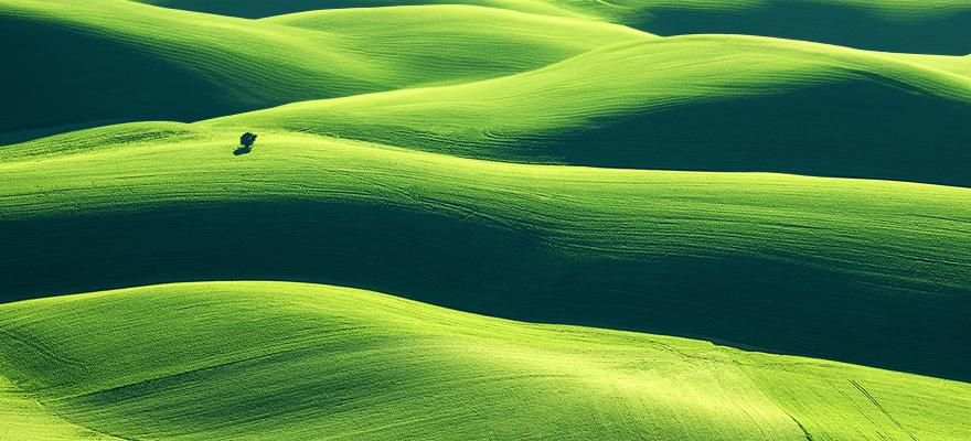 SEI-sustainable-investing-inline-green-hills