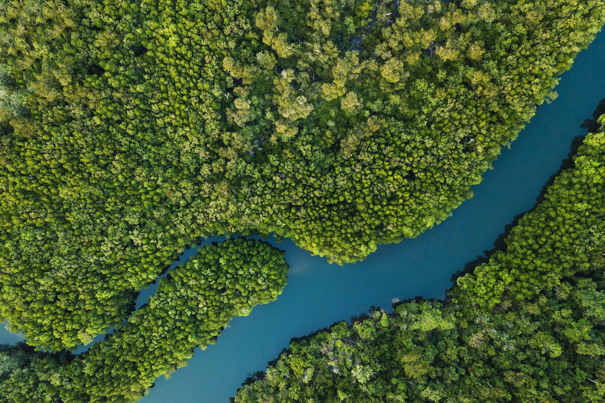 Investing_Goals_river_through_trees