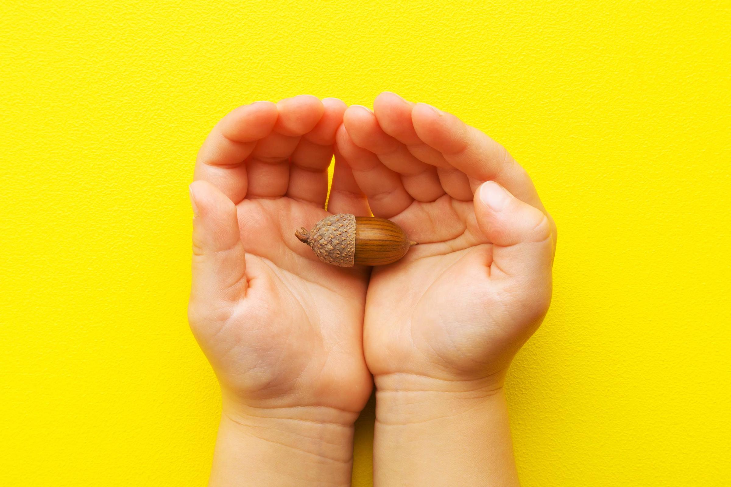 Sustainability_hands_acorn