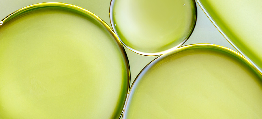 SEI-Inclusion-green-circles-inline