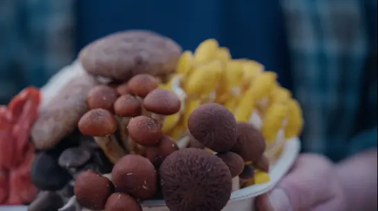 Growing a Legacy, Powered by the Sun