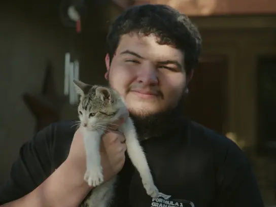 No More Tough Decisions