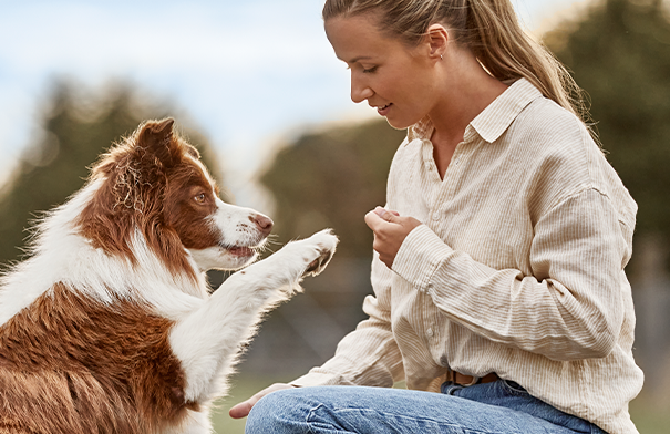 Ivory coat outlet puppy