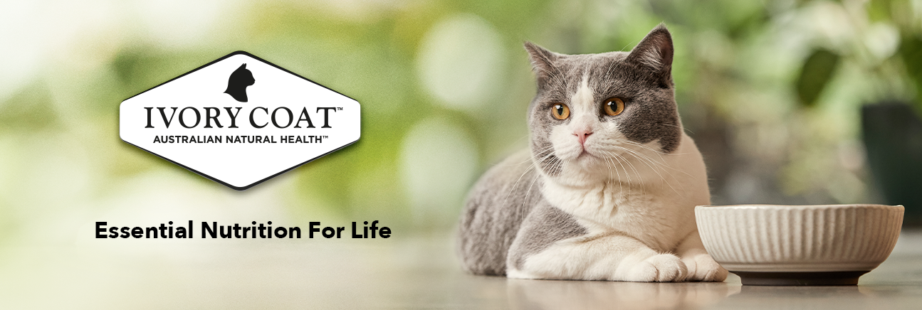 Buy Ivory Coat Grain Free Wet Cat Food Kitten Chicken Gravy Online Better Prices At Pet Circle