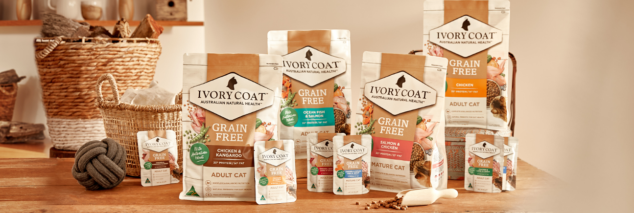Discover Our IVORY COAT Range