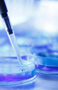 iStock_000015875676Medium2