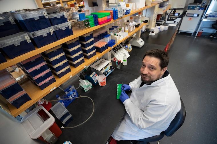 Research from the School of Medicine's Bradley D. Gelfand, PhD, suggests the antidepressant Prozac may help prevent vision loss in people with dry macular degeneration.