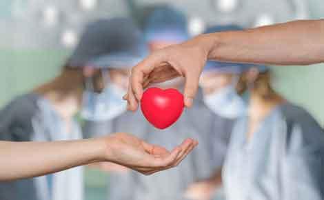 Donate Organs After Death