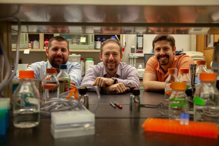 Key members of the research team: Antoine Louveau (from left), Jonathan Kipnis and Sandro Da Mesquita 