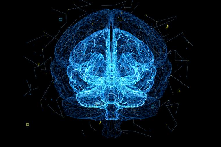 Digital image of human brain.
