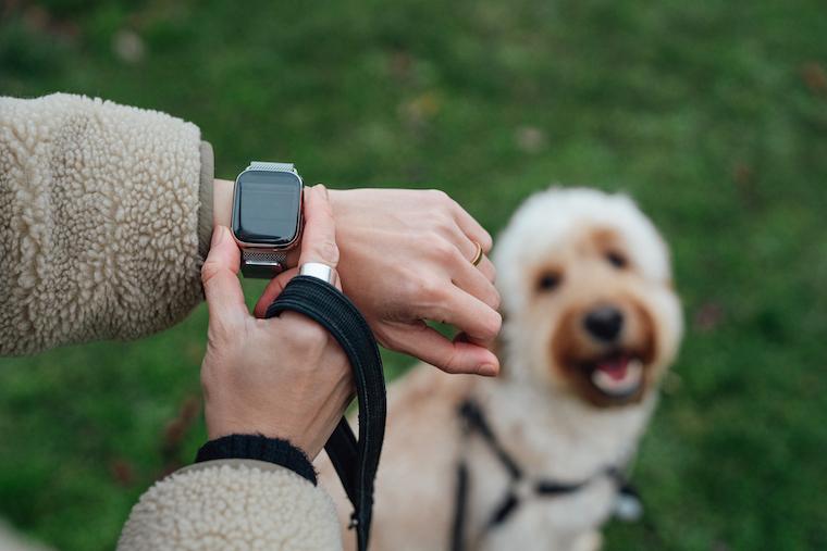 Wearable devices such as smartwatches could help us personalize cancer treatments and improve patient outcomes, School of Medicine researchers say.