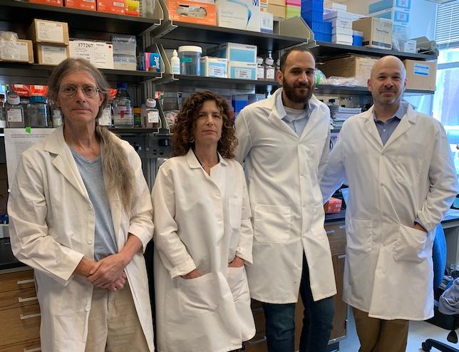 The osteoporosis research team included Larry Mesner (from left), Gina Calabrese, Basel Al-Barghouthi and Charles Farber.