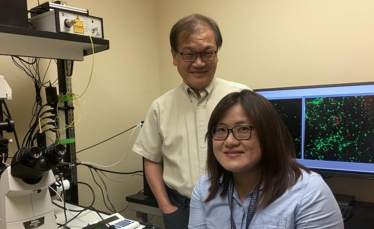 Researchers Chia-Yi “Alex” Kuan, MD, PhD, and Hong-Ru Chen, PhD, have answered longstanding questions about the development of the brain's immune defenses.