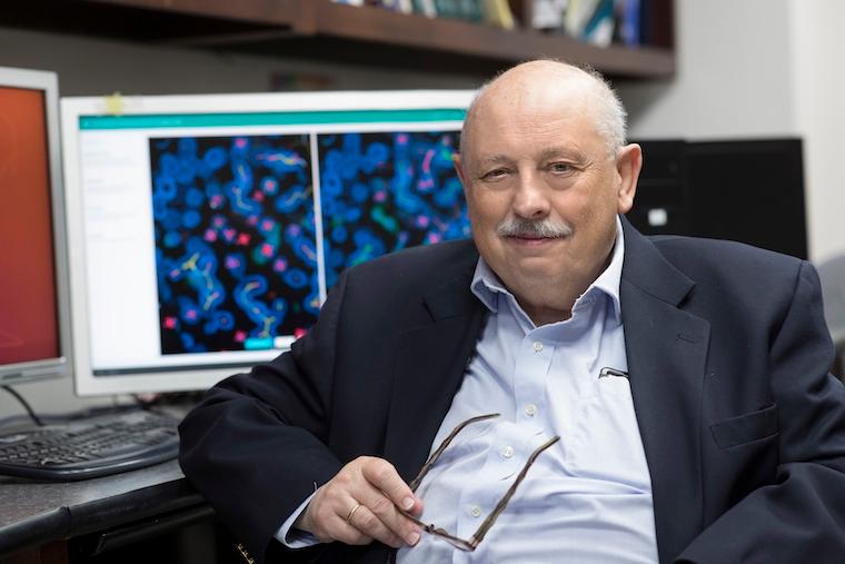 Wladek Minor, PhD, and his collaborators have created a useful tool to facilitate the development of vaccines and treatments for the next pandemic.