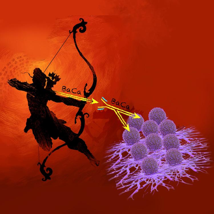 An artist's interpretation of the "two-headed" arrow UVA is developing to destroy ovarian cancer. Image by Anita Pagliazzo, as conceived and designed by Jogender Tushir-Singh.