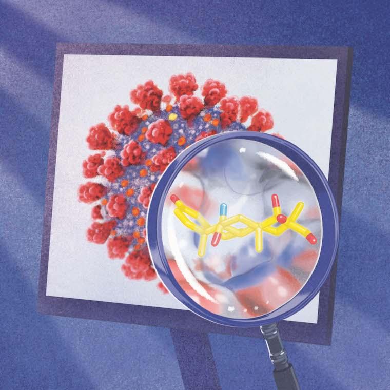 An artist's rendering of the dexamethasone discovery, by Marcin Minor.