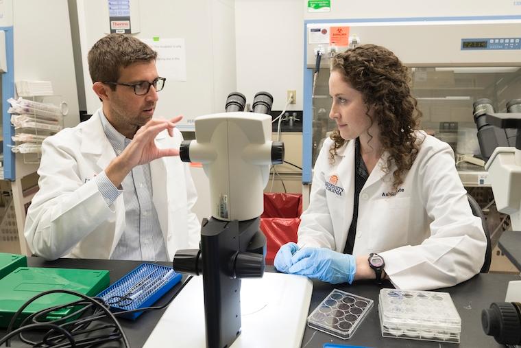 Researchers John Lukens and Ashley Bolte discuss the implications of their concussion discovery. 