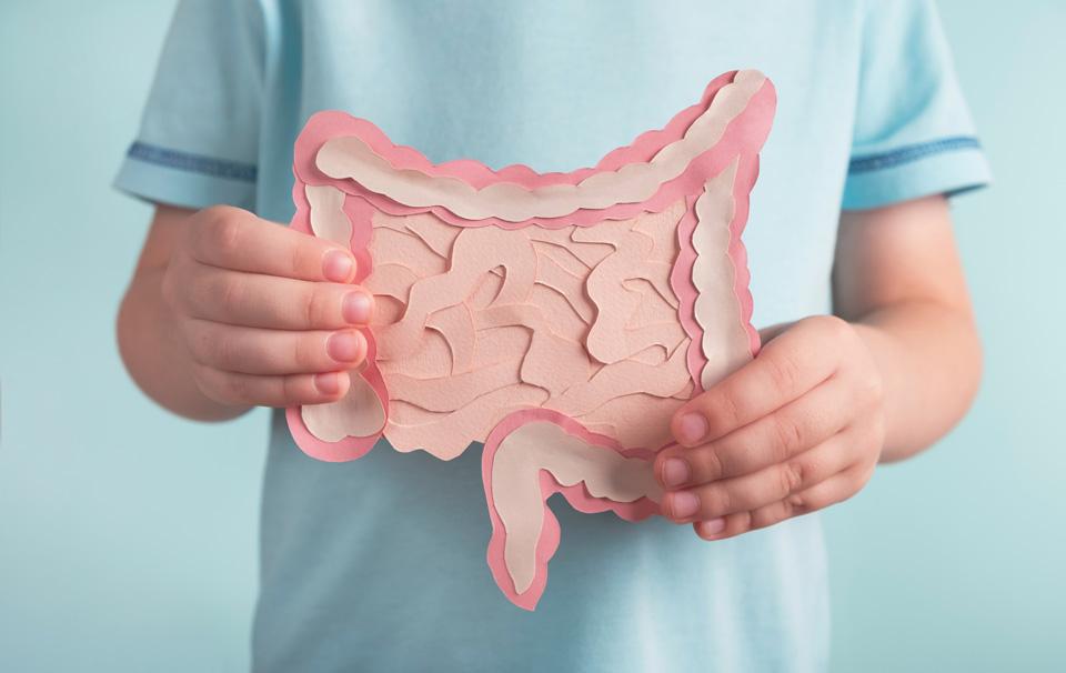 child holding paper representation of digestive system