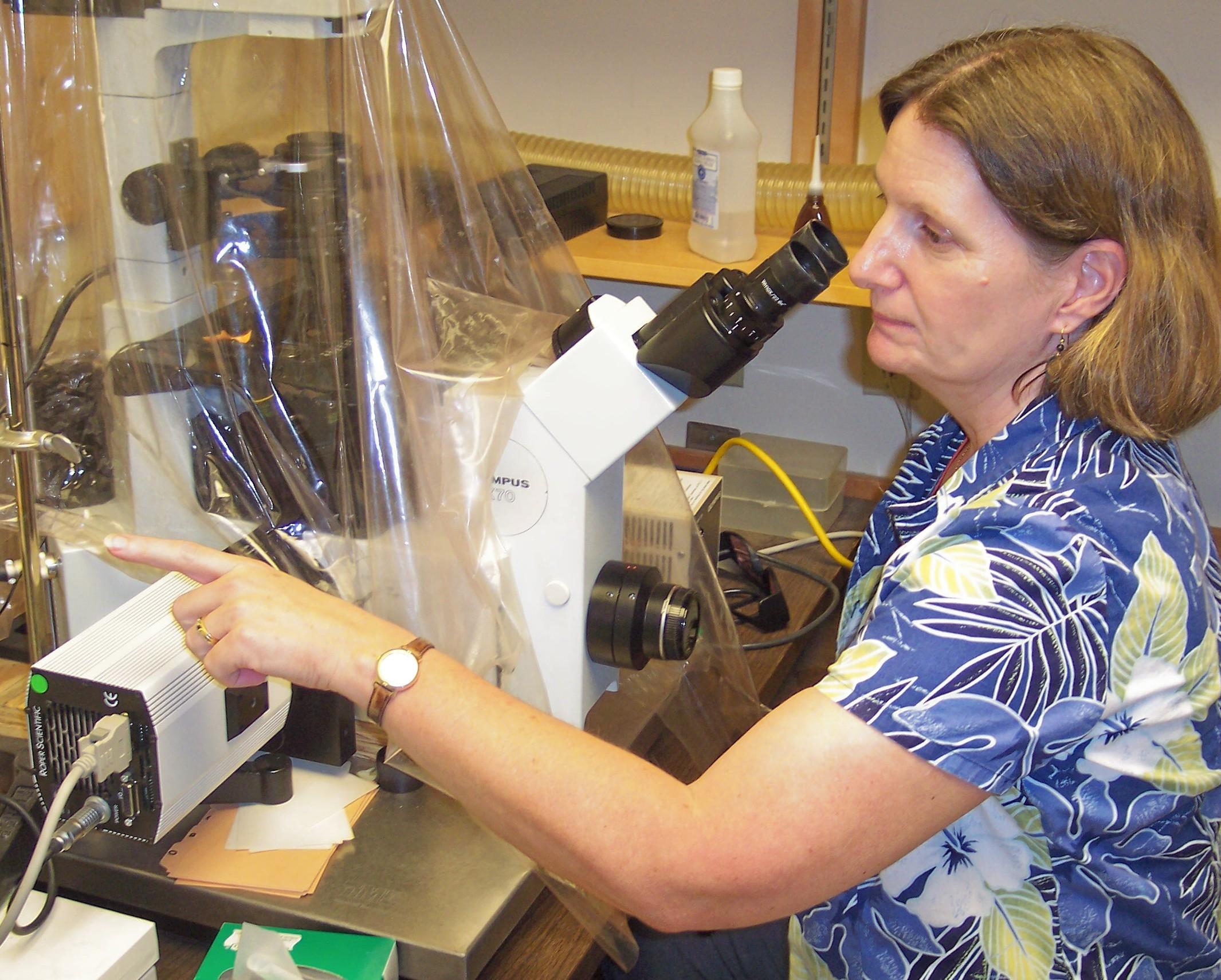 Patricia A. Trimmer, PhD