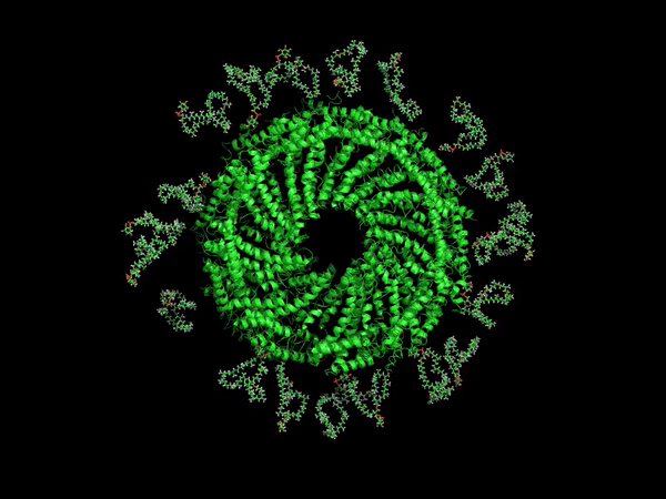 virus animated gif