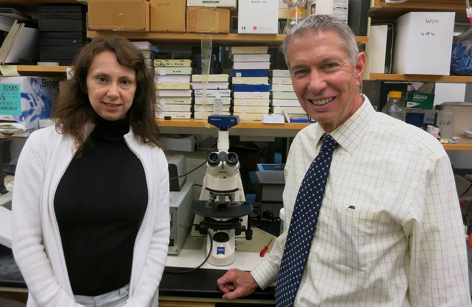 Gene helps prevent heart attack, stroke — and may offer way to block effects of aging