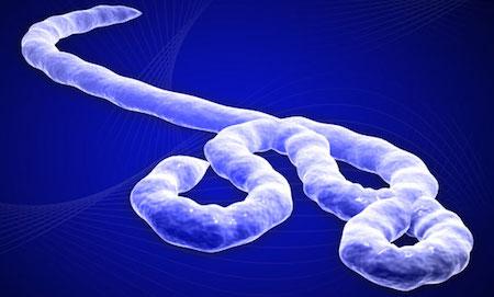 Ebola