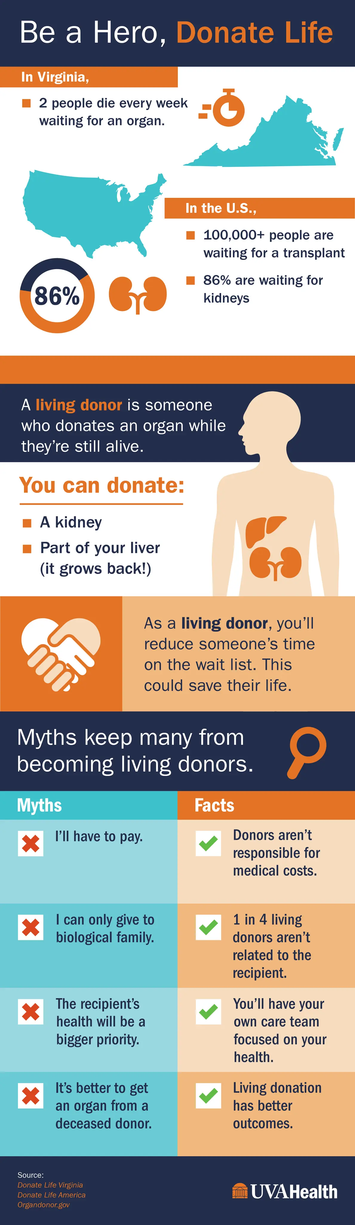 Living Organ Donation Myths, Facts, & Stats infographic