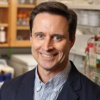 Richard J. Price, of UVA's School of Medicine and School of Engineering 