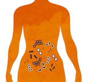 The microbiome is the collection of microorganisms, such as bacteria, that naturally live inside us. 