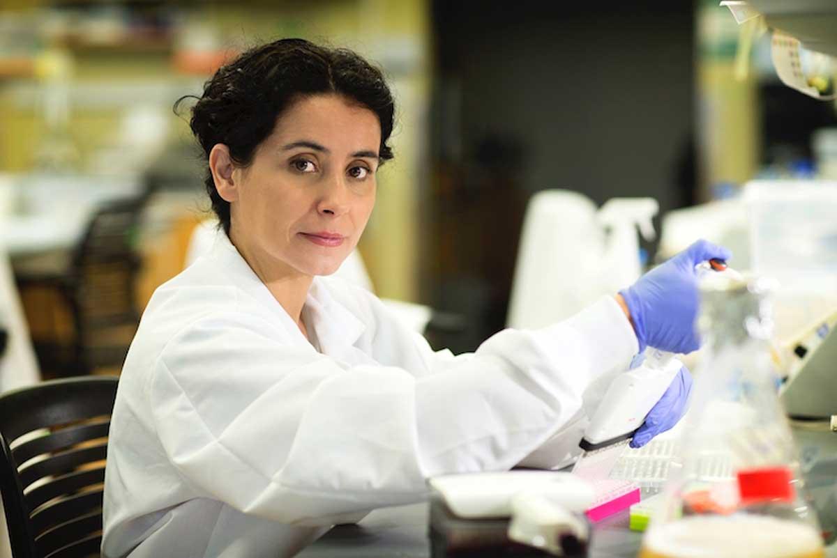 UVA researcher Eyleen Jorgelina O’Rourke, PhD, and her team have discovered a potential anti-aging approach. Could it be the secret to a longer, healthier life?