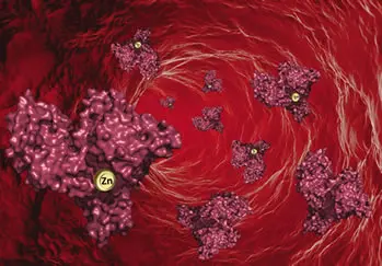 zinc research nov 2016