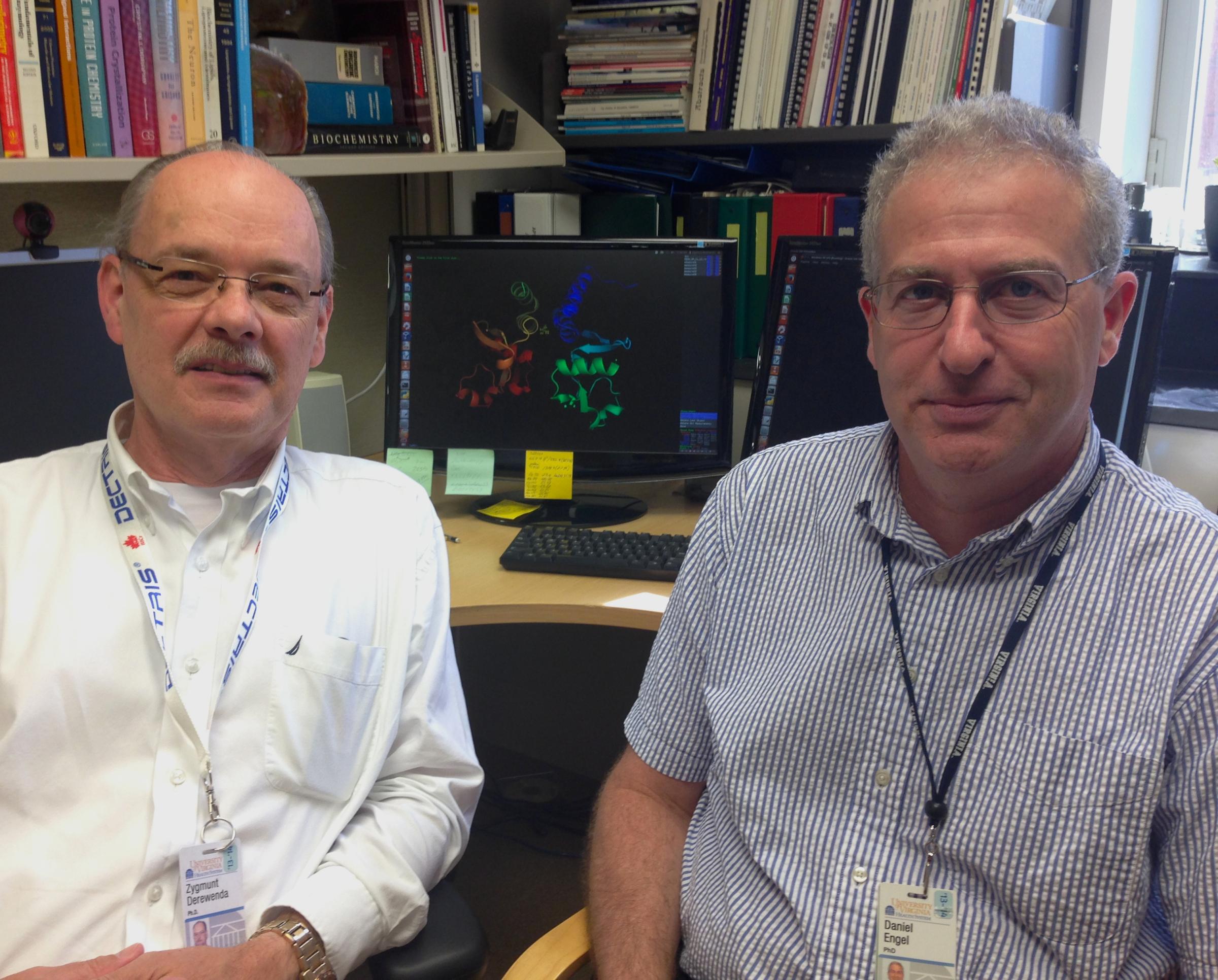 Zygmunt S. Derewenda, PhD (left), and Daniel A. Engel, PhD, of the UVA School of Medicine