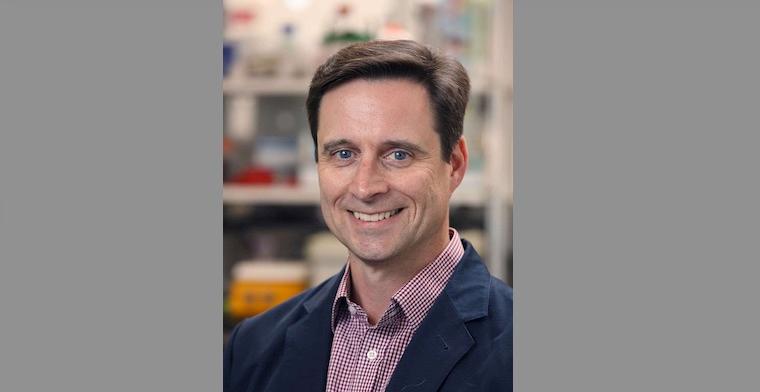 Richard J. Price, PhD, is co-director of UVA Health’s Focused Ultrasound Cancer Immunotherapy Center. Photo by Tom Cogill.