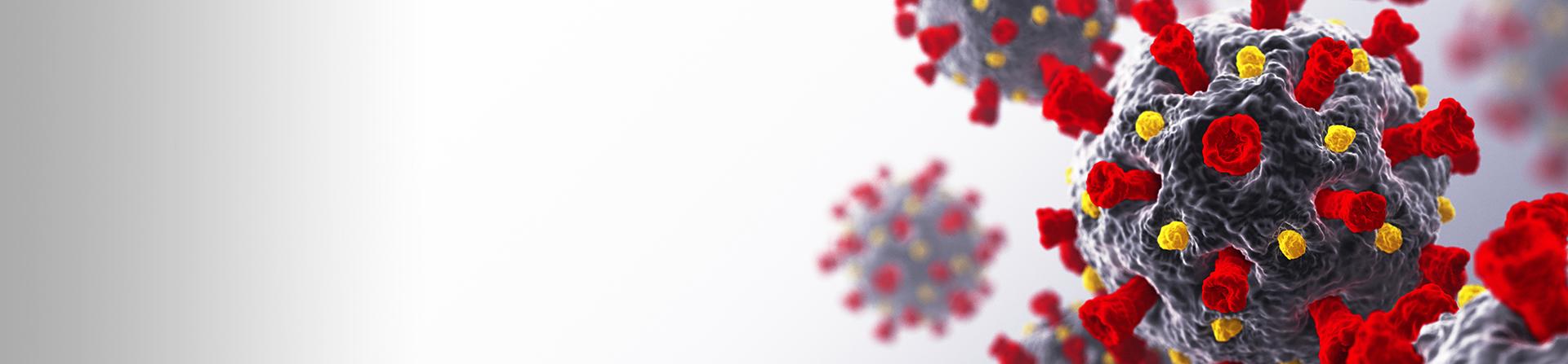 closeup of the covid-19 virus