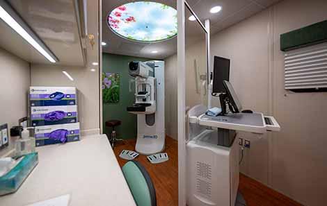 Your Mammogram Results