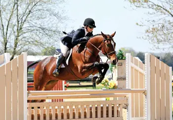 Fauquier resident Susan horseback riding after her hip replacement. Read about Julianne Moore's Still Alice role. 