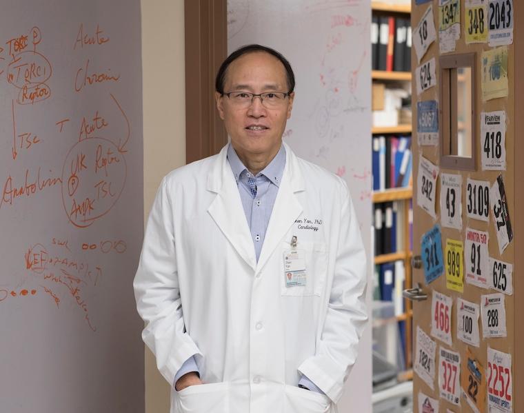 Zhen Yan, PhD, is a top exercise researcher at the UVA School of Medicine.