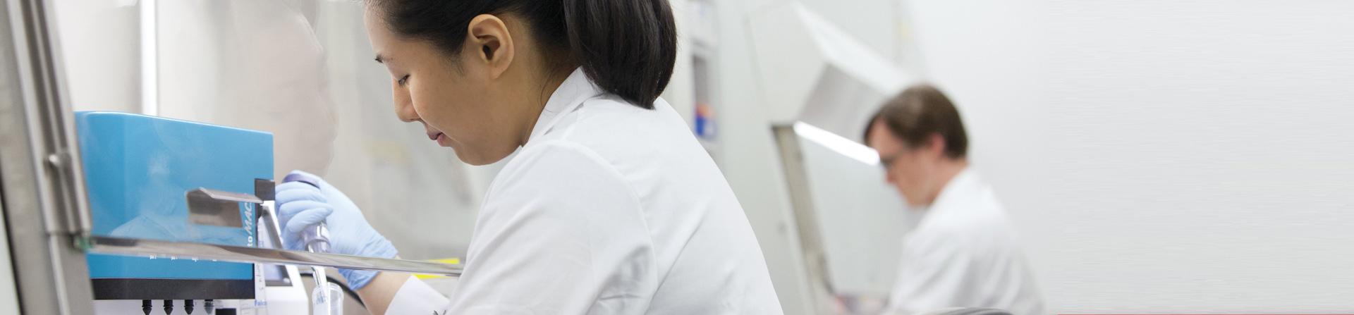 Researchers working with stem cells